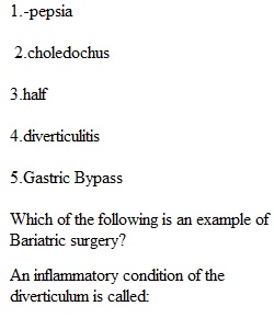 Chapter 11 Quiz